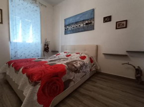 Piccione Marittimo Appartamento Vicinanze Mare